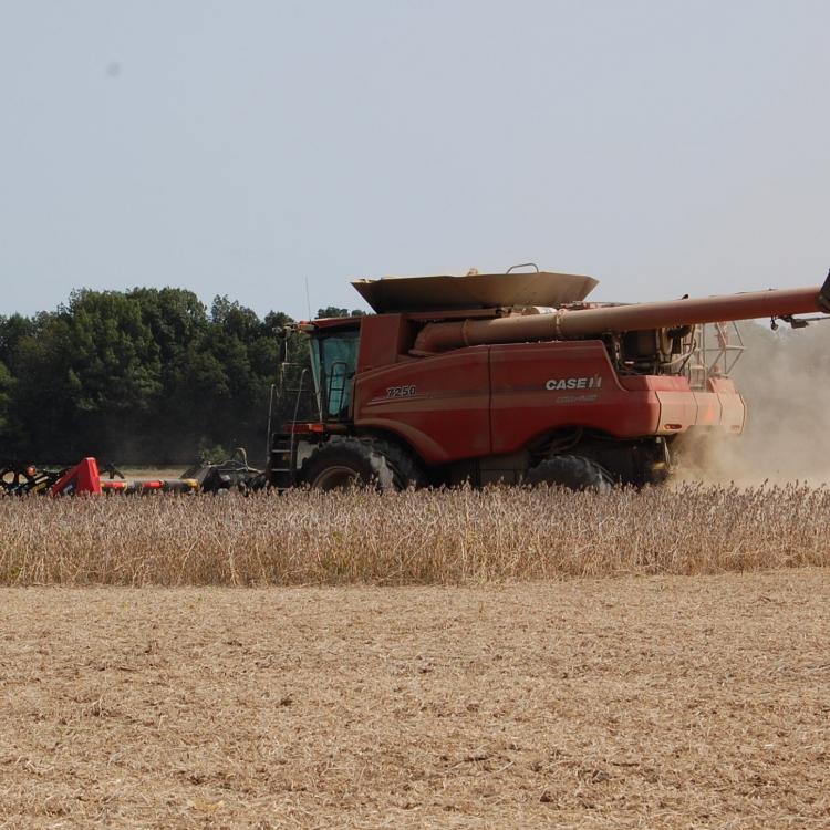  Combine in field