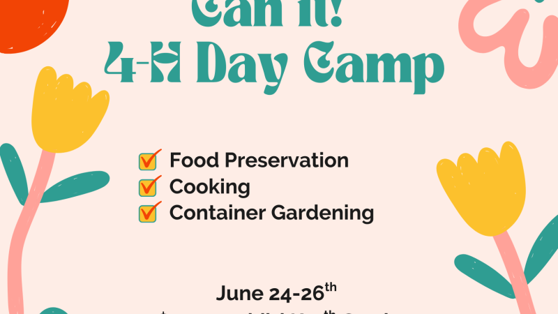4-H Day Camp